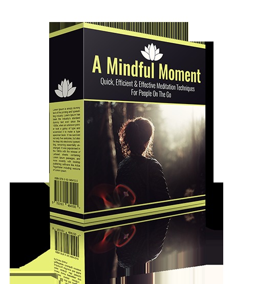 Product picture A Mindful Moment